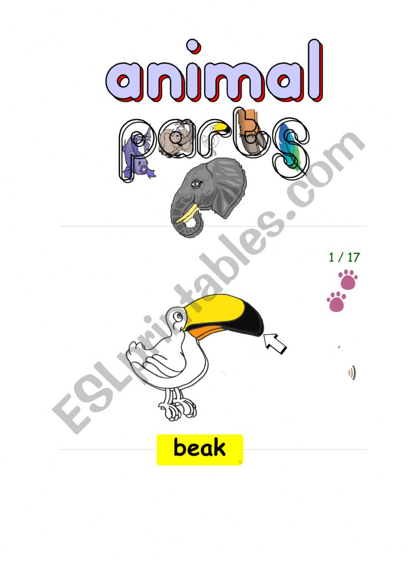 Animal parts worksheet