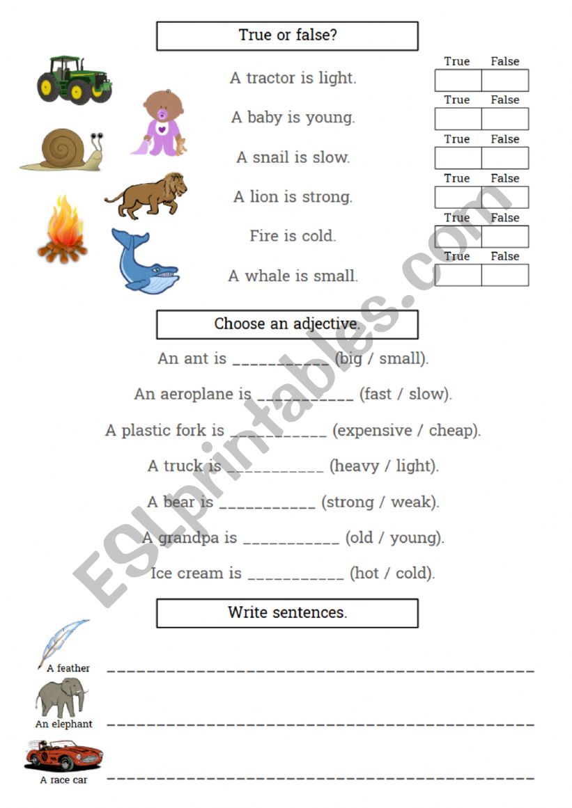 Adjective Opposites Worksheet worksheet