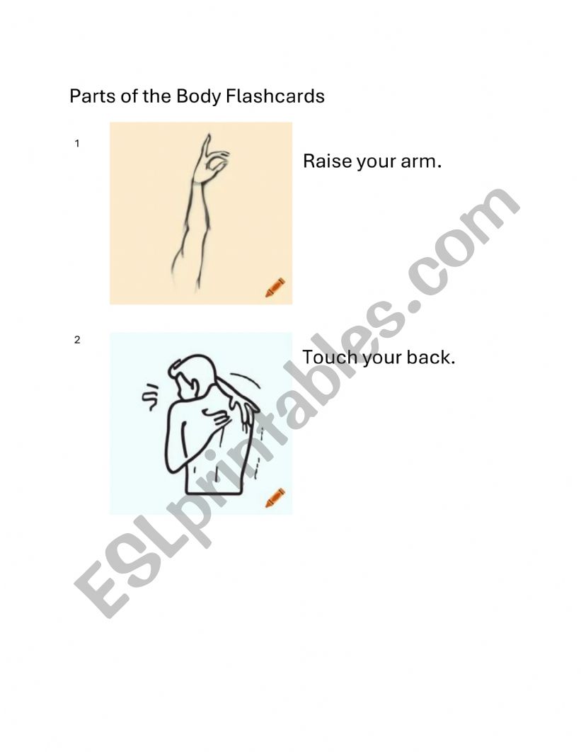 Parts of the Body Flashcards worksheet