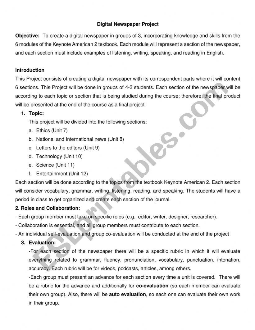 Digital Newspaper Guidelines worksheet