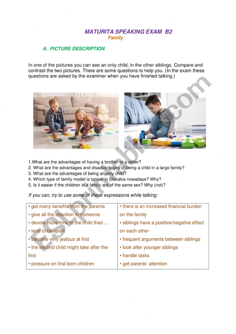 Picture desription worksheet