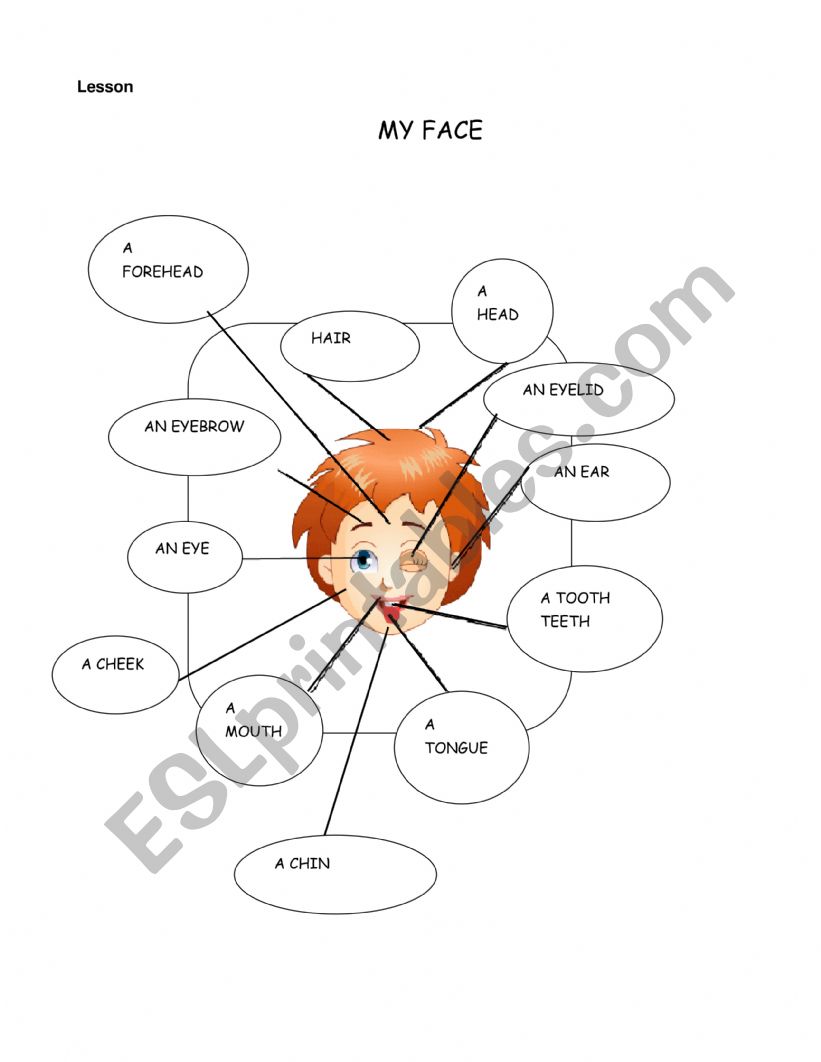 The Face worksheet