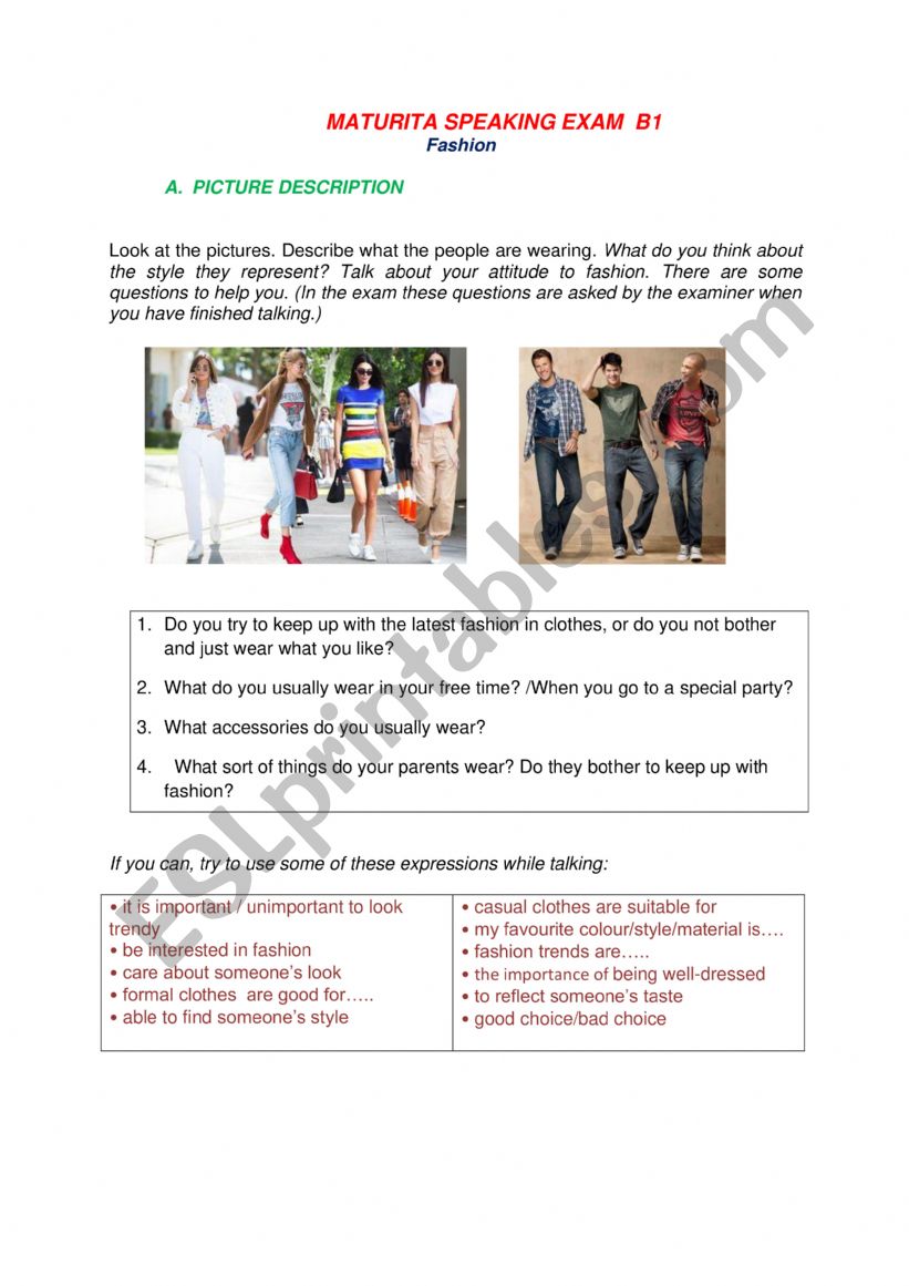 Picture desription worksheet