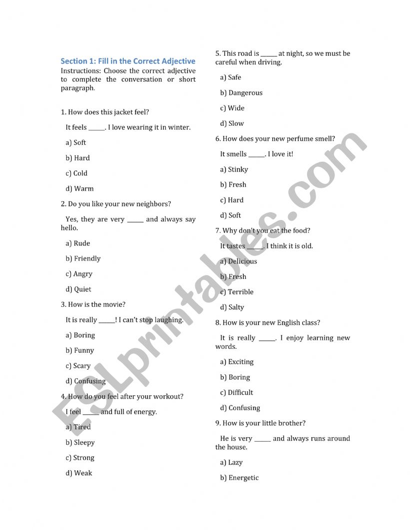 Adjectives Exercise  worksheet