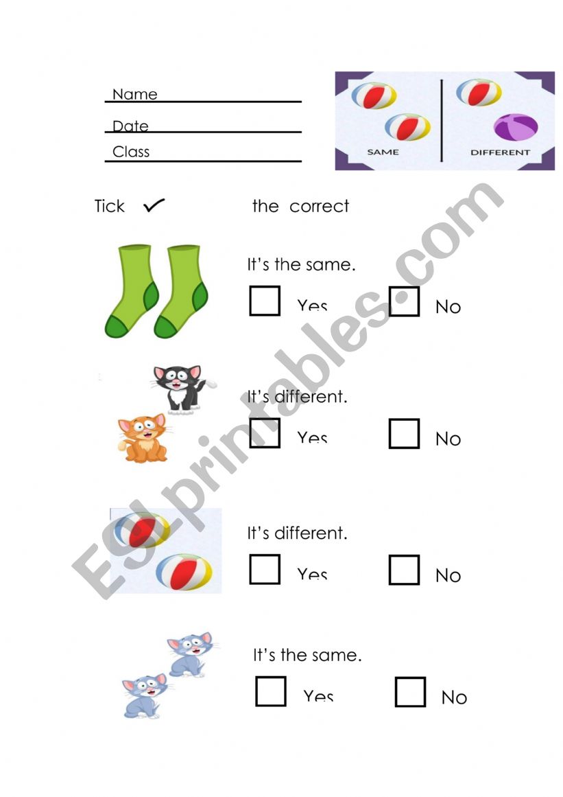 Same and Different worksheet