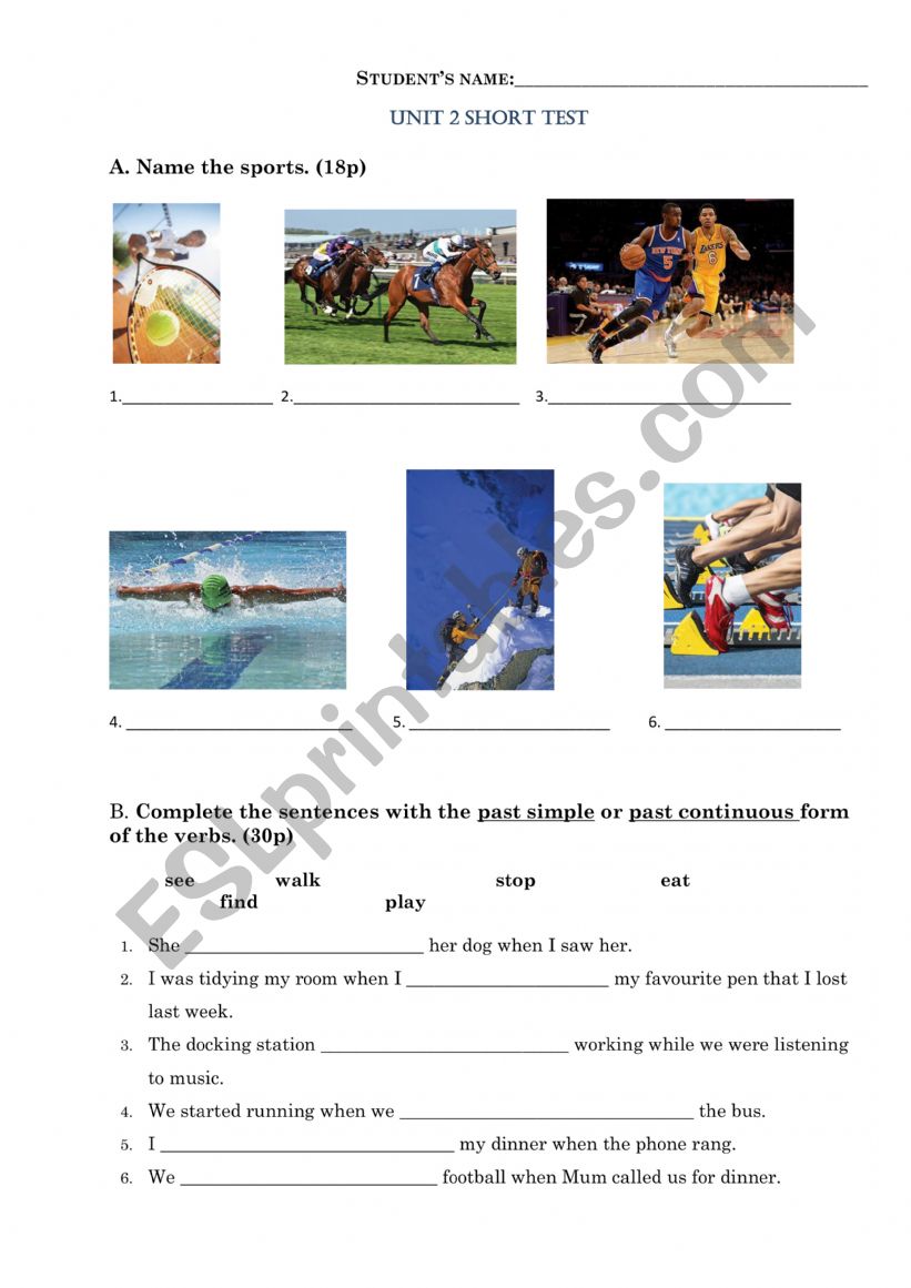 Sports and  past tenses worksheet