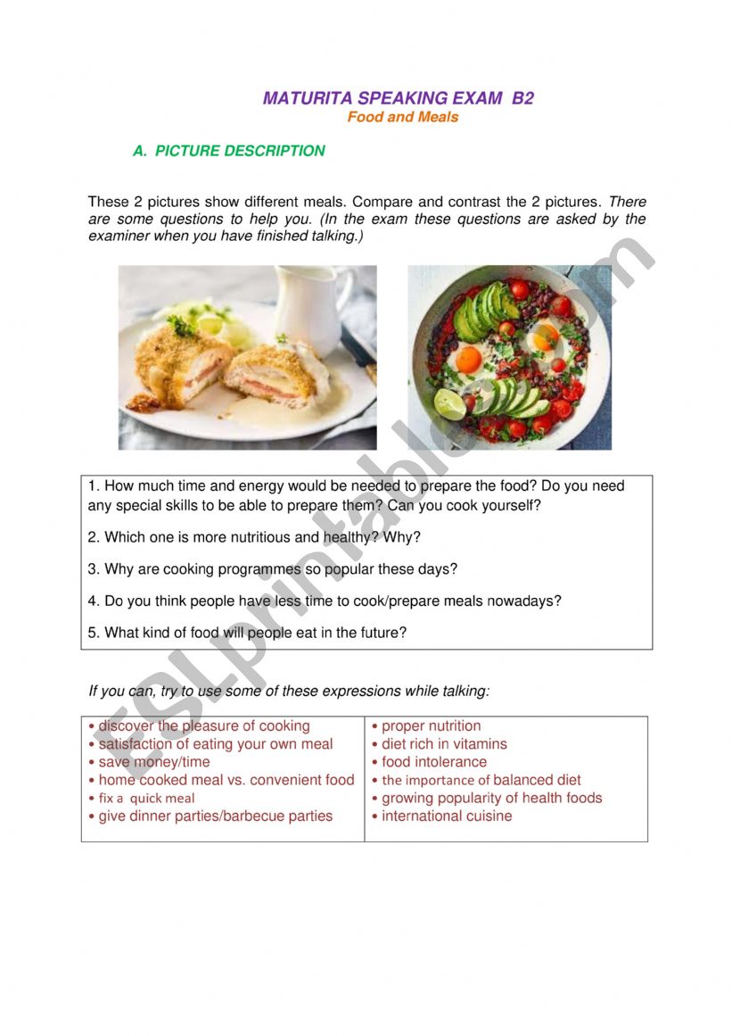 Picture desription worksheet