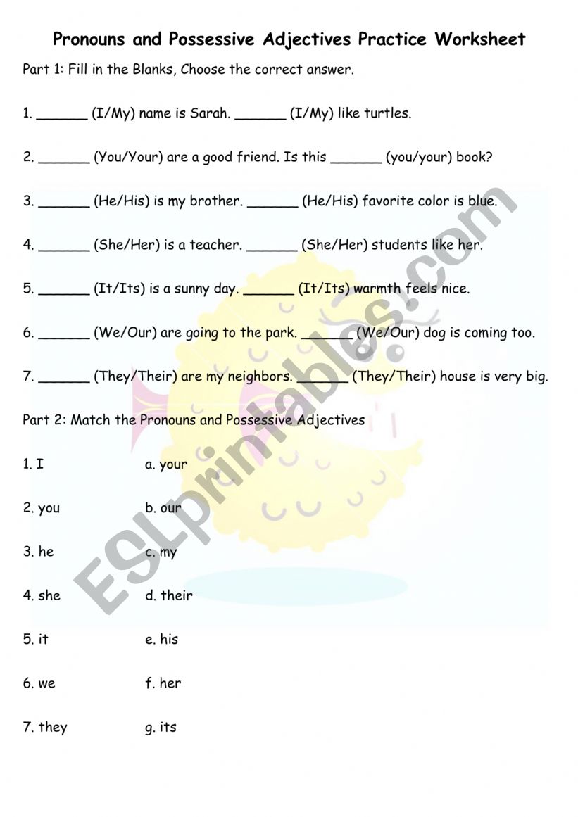 Pronouns and Possessive Adjectives Practice Worksheet