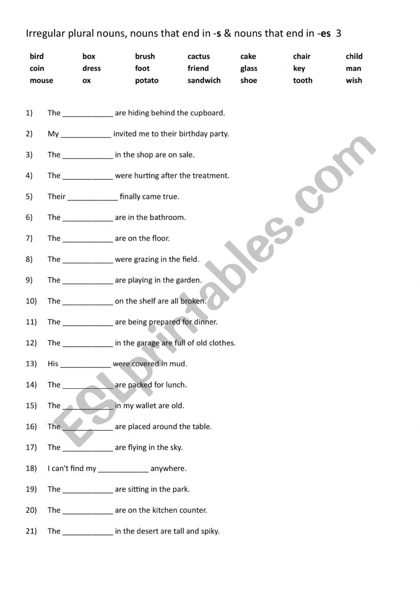 Irregular plural nouns, nouns that end in -s & nouns that end in -es 3