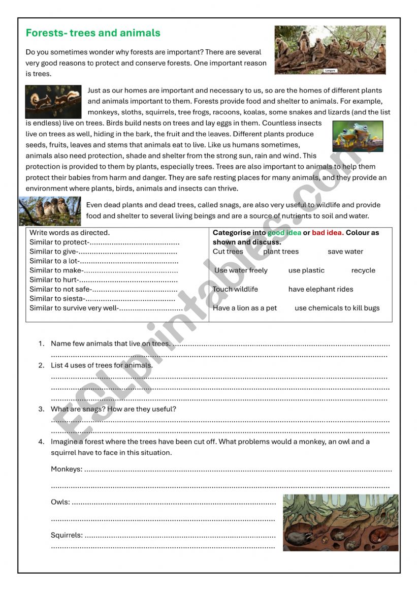 FORESTS TREES AND ANIMALS worksheet