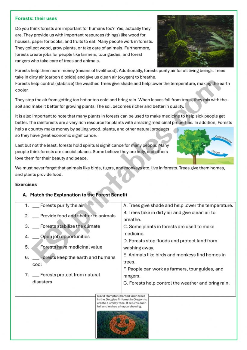 FORESTS-THEIR USES worksheet