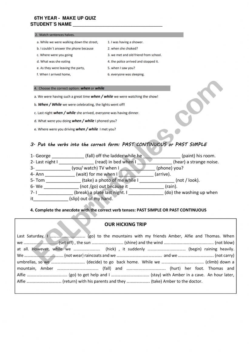 Past simple & past continuous worksheet