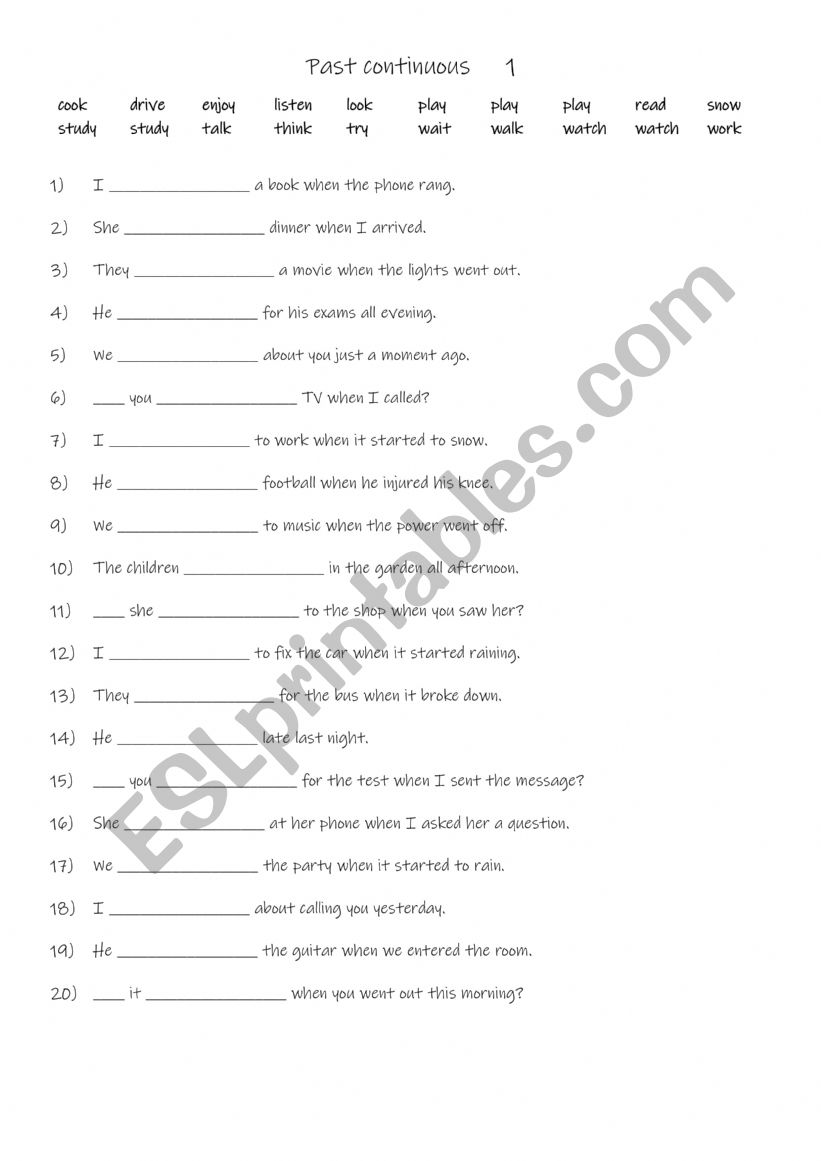 Past continuous 1 worksheet