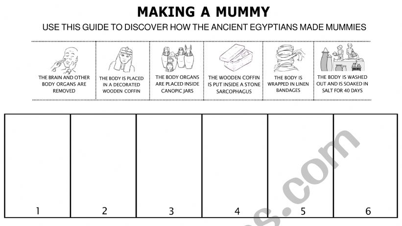 MAKING A MUMMY worksheet