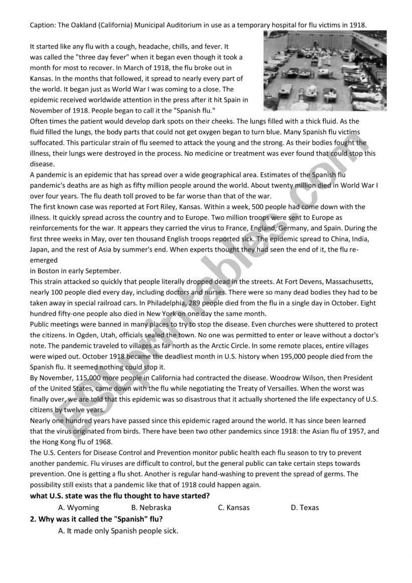 The Spanish flu worksheet