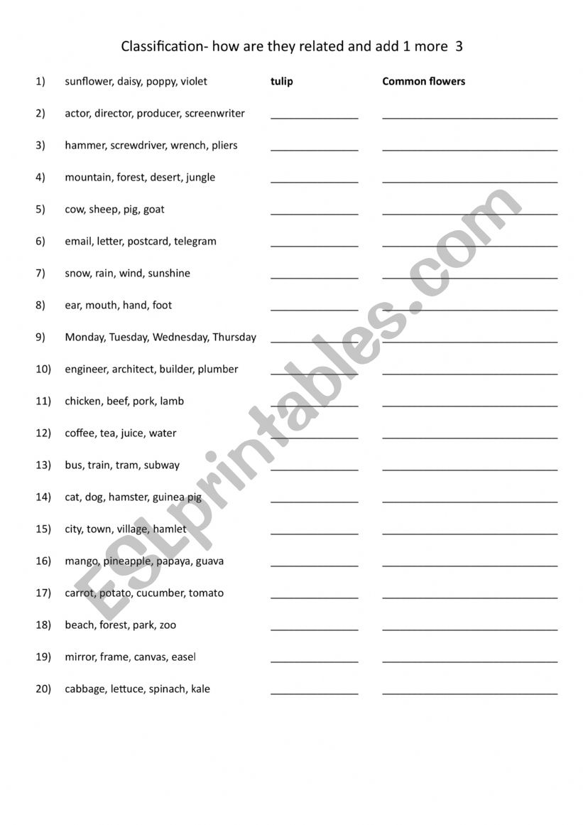 Classification- how are they related and add 1 more 3