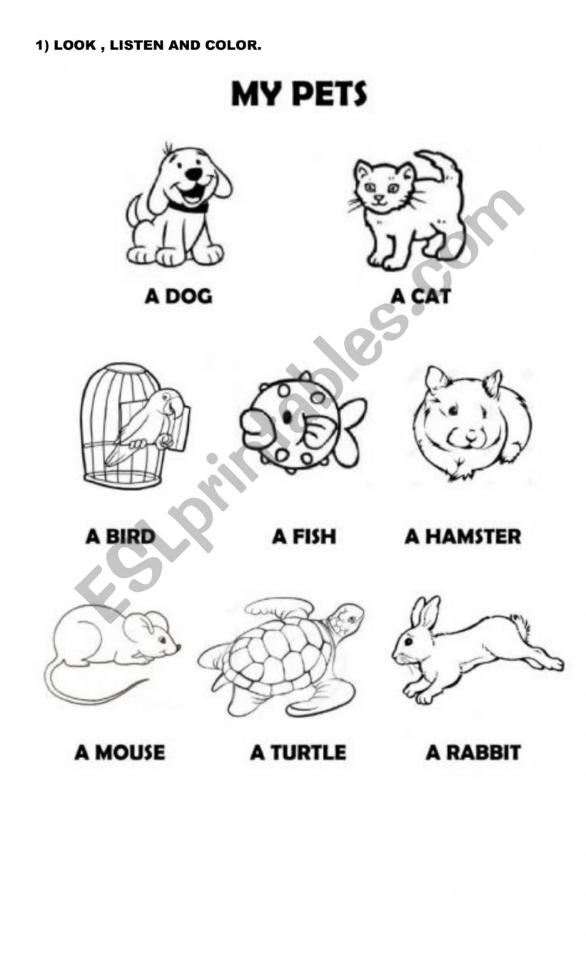 clotes worksheet