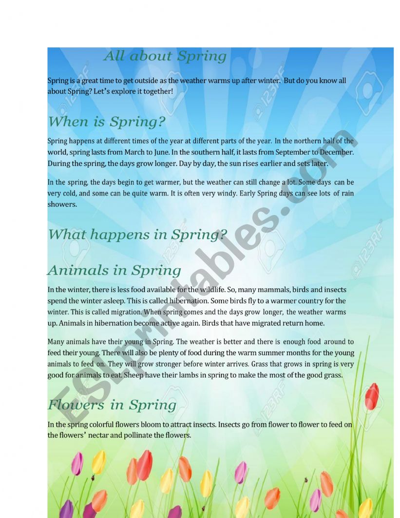 Spring worksheet