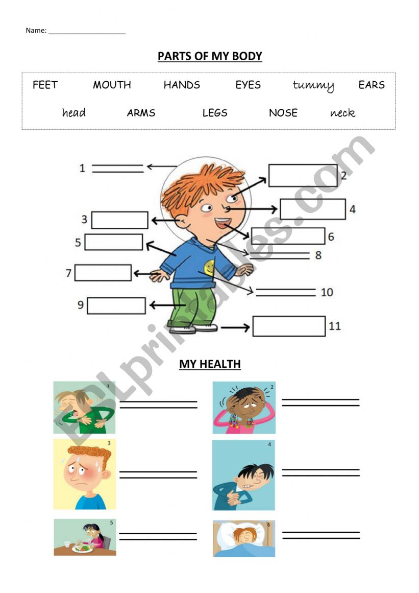 Parts of my body and health worksheet