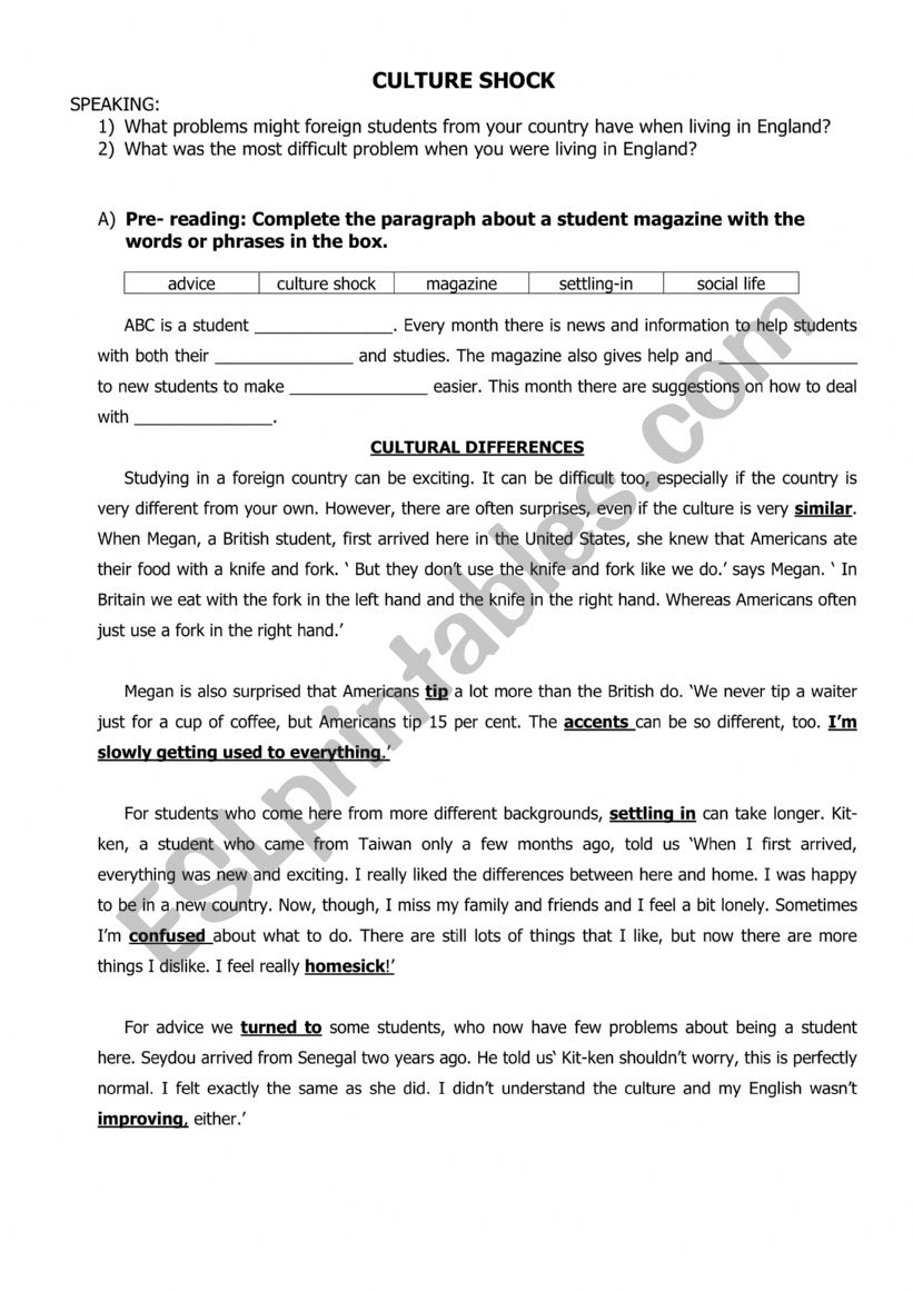 Culture Shock worksheet
