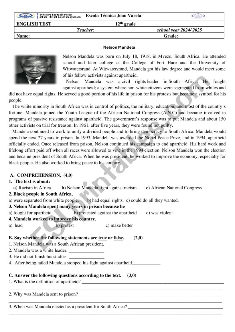Human Rights, Nelson Mandela worksheet
