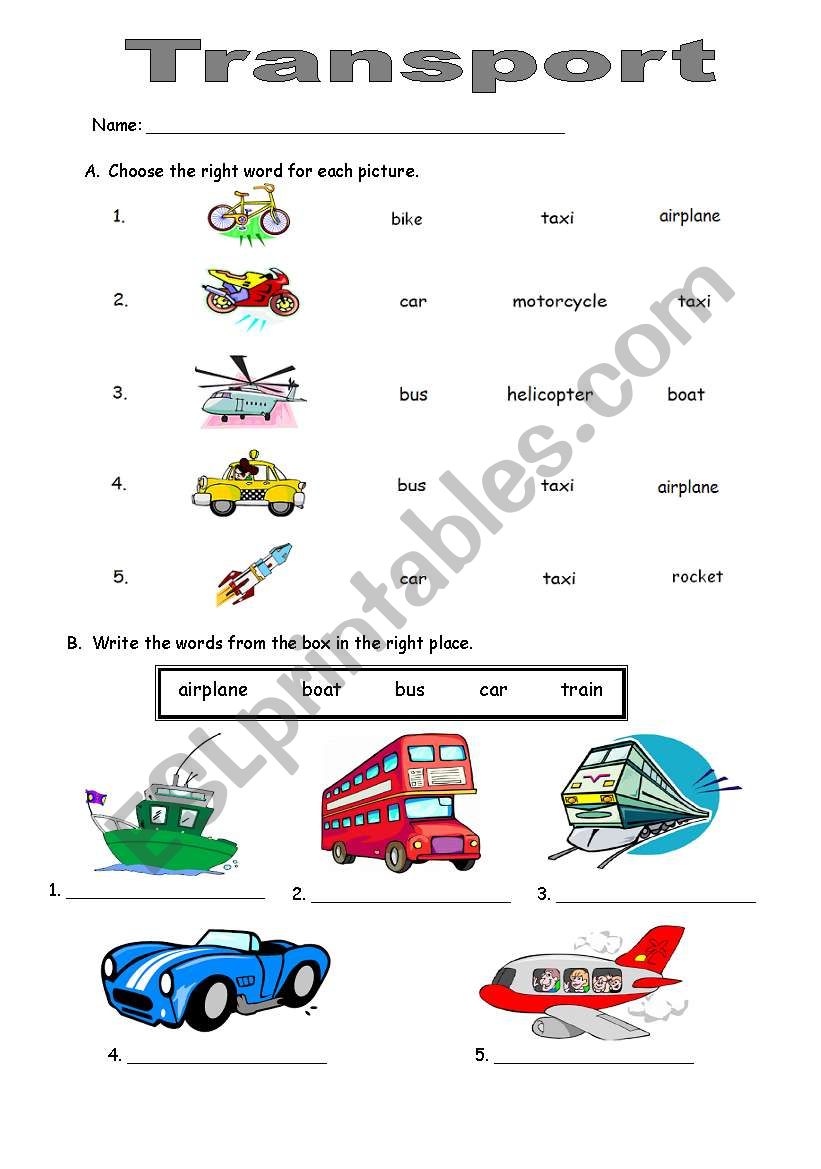 Transport worksheet