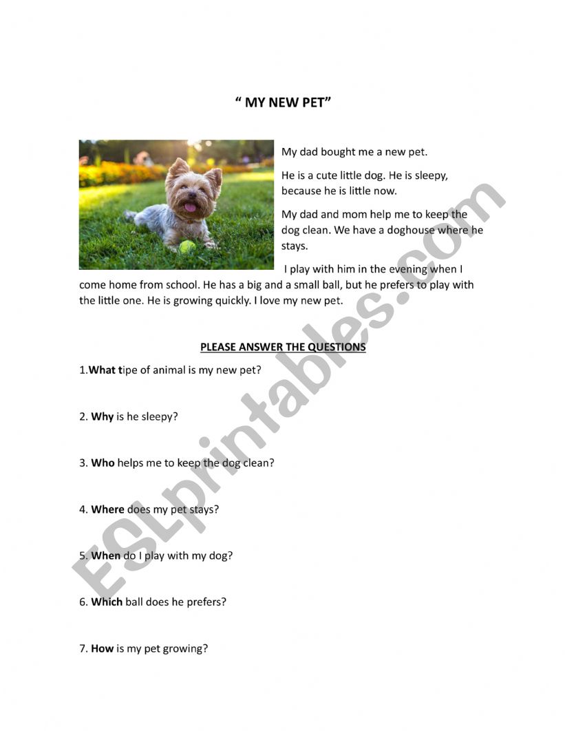 reading  worksheet