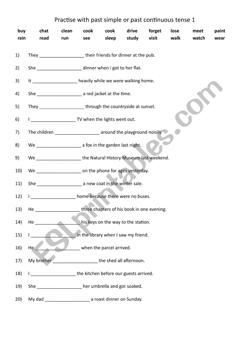 Practise with past simple or past continuous tense 1
