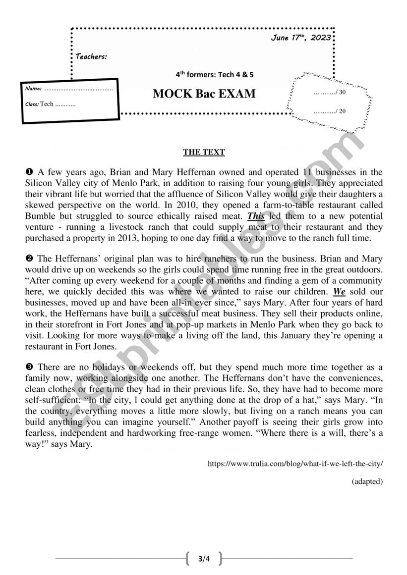 Mock exam bac blanc worksheet