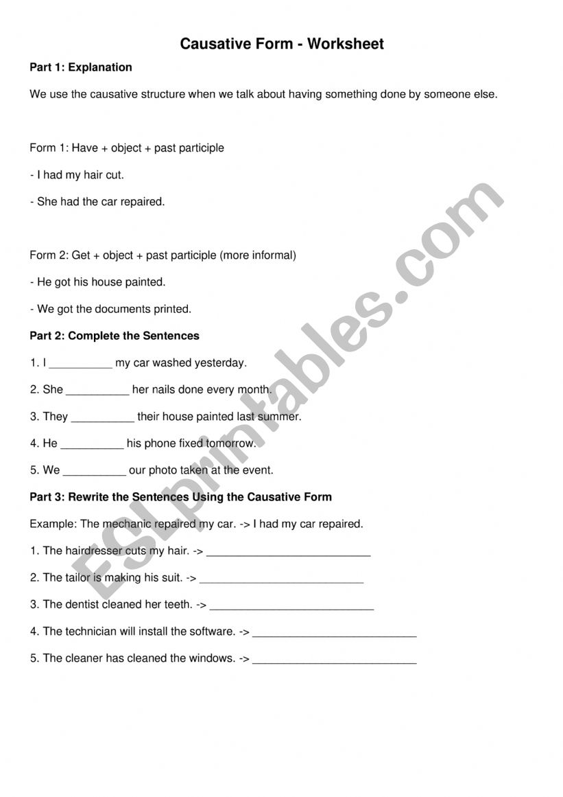 Causative Worksheet worksheet