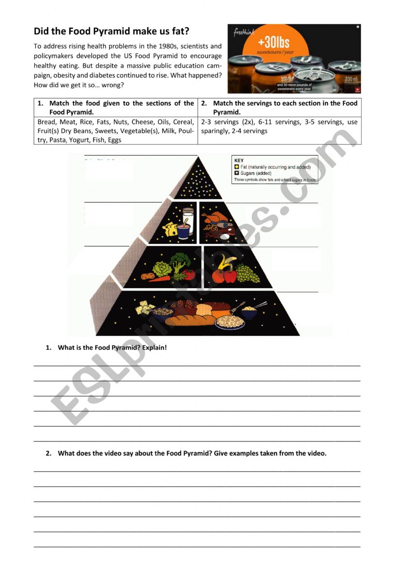 Did the Food Pyramid make us fat