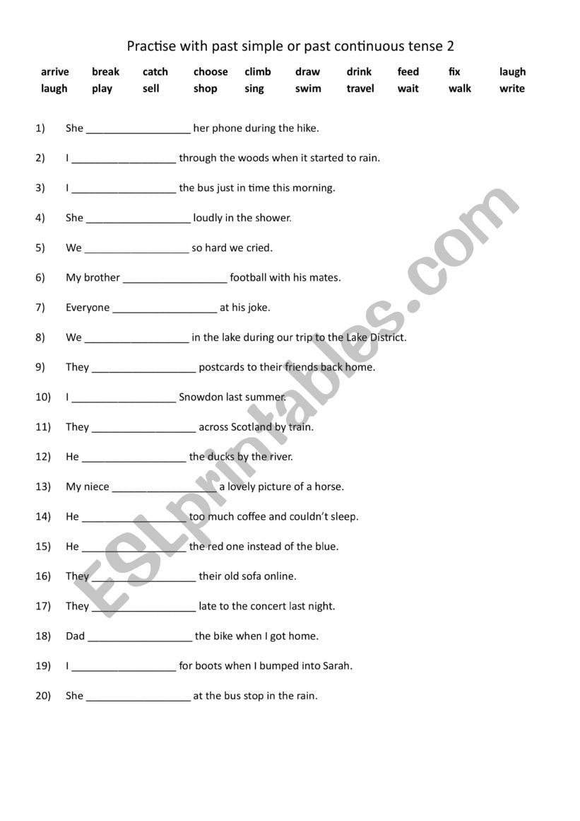 Practise with past simple or past continuous tense 2