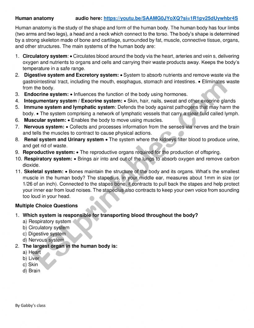 human anatomy worksheet