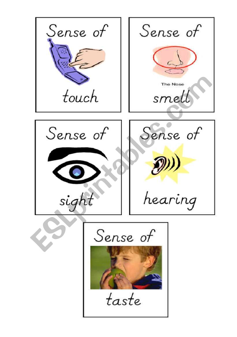 Senses worksheet