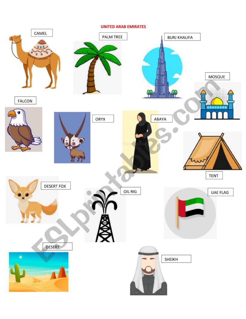 UNITED ARAB EMIRATES VS COLOMBIA VOCABULARY 