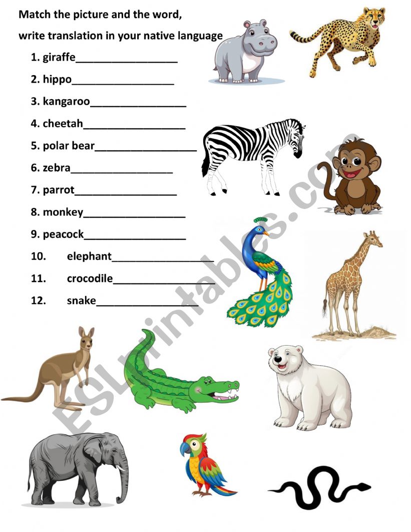 Wild animals. Matching exercise