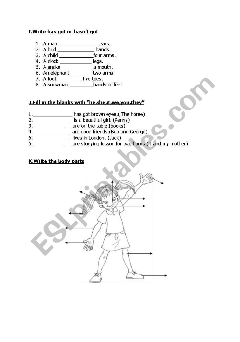 body parts  worksheet