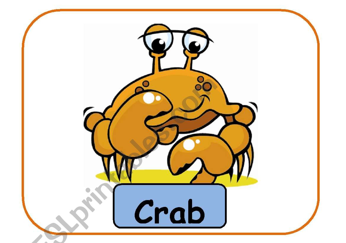 animals flashcards part 6  worksheet