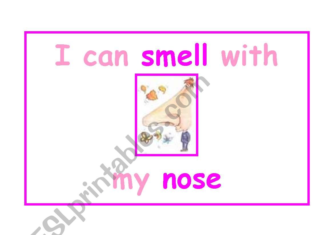 FIVE SENSES 3/5 worksheet