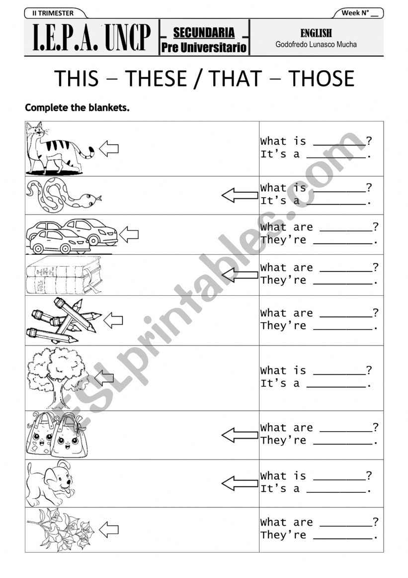 DEMONSTRATIVES worksheet
