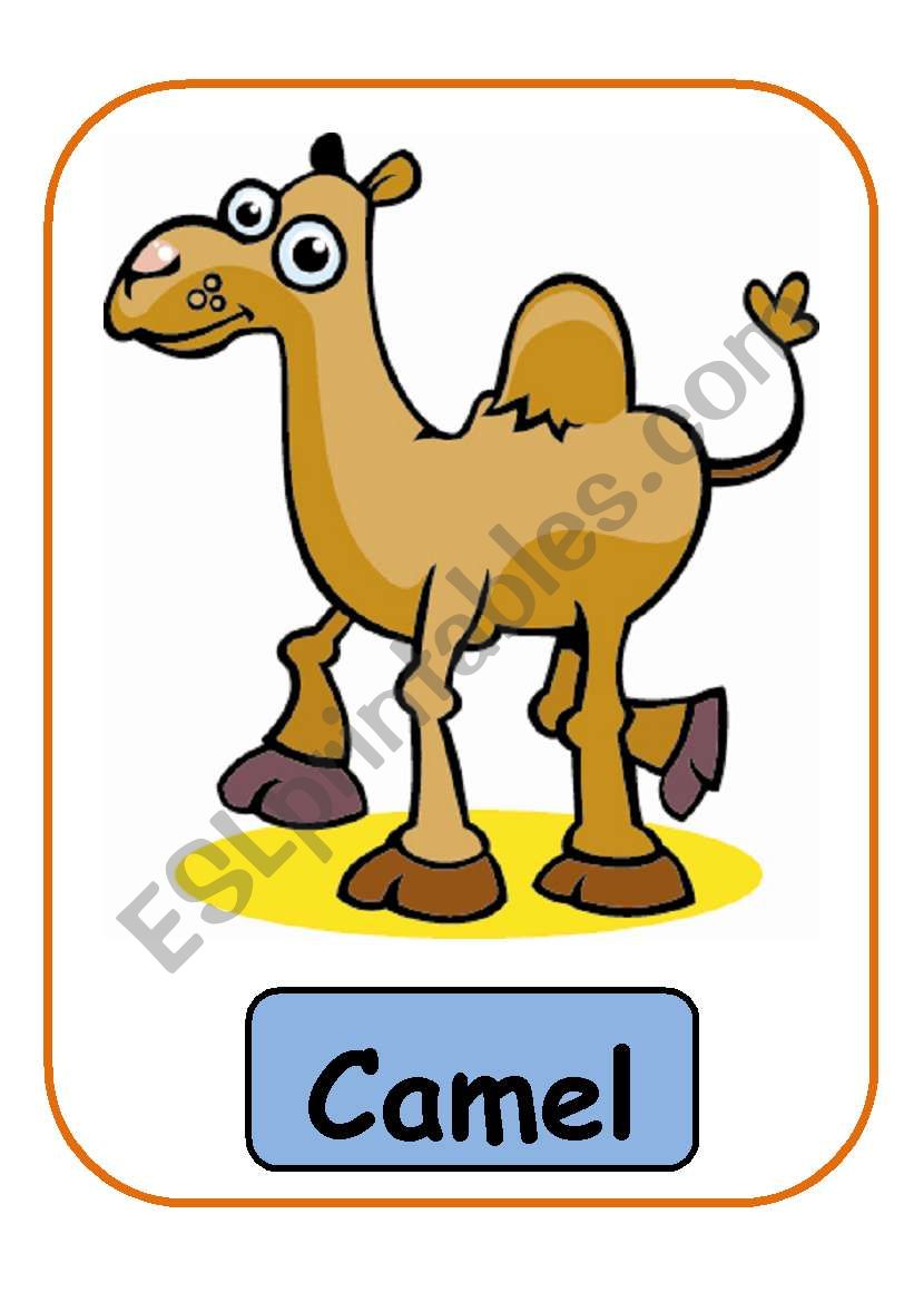 Animals flashcards PART 7 worksheet