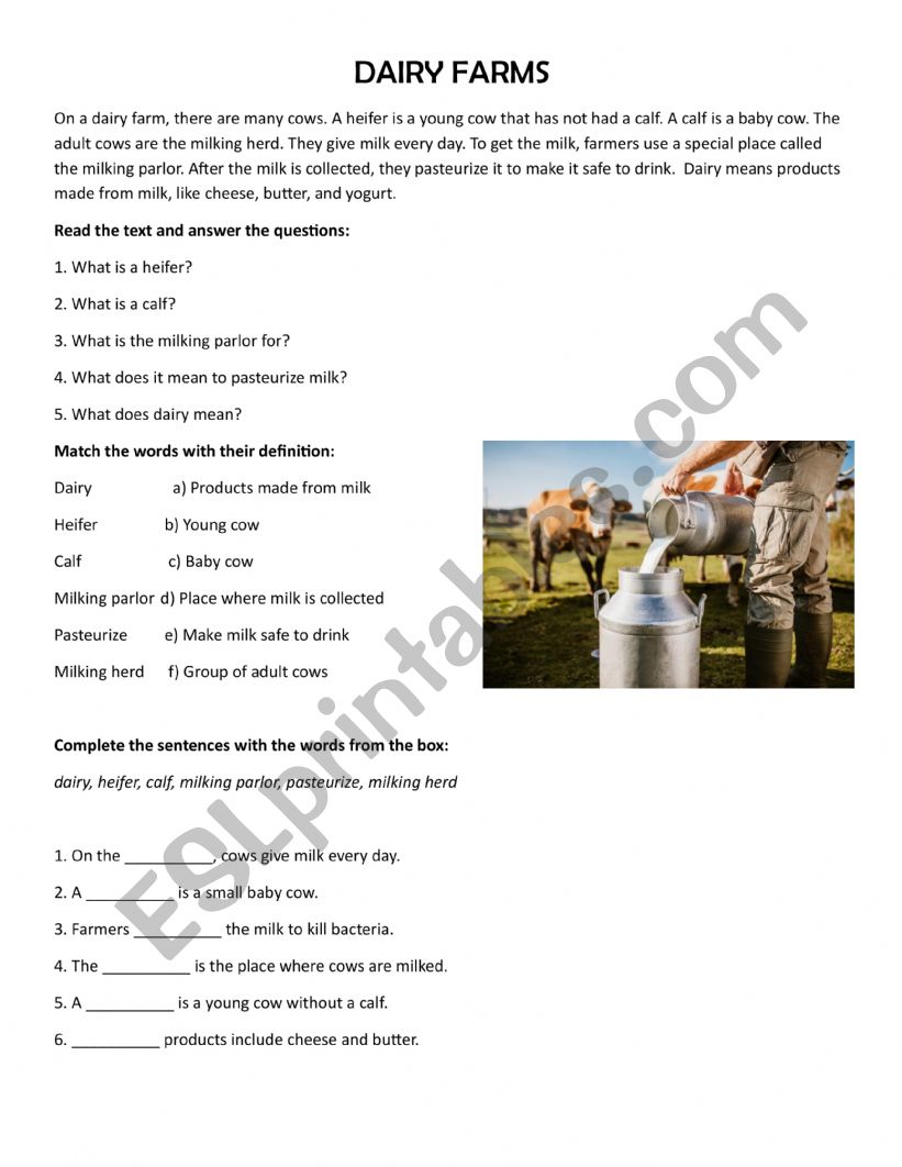 On a dairy farm worksheet