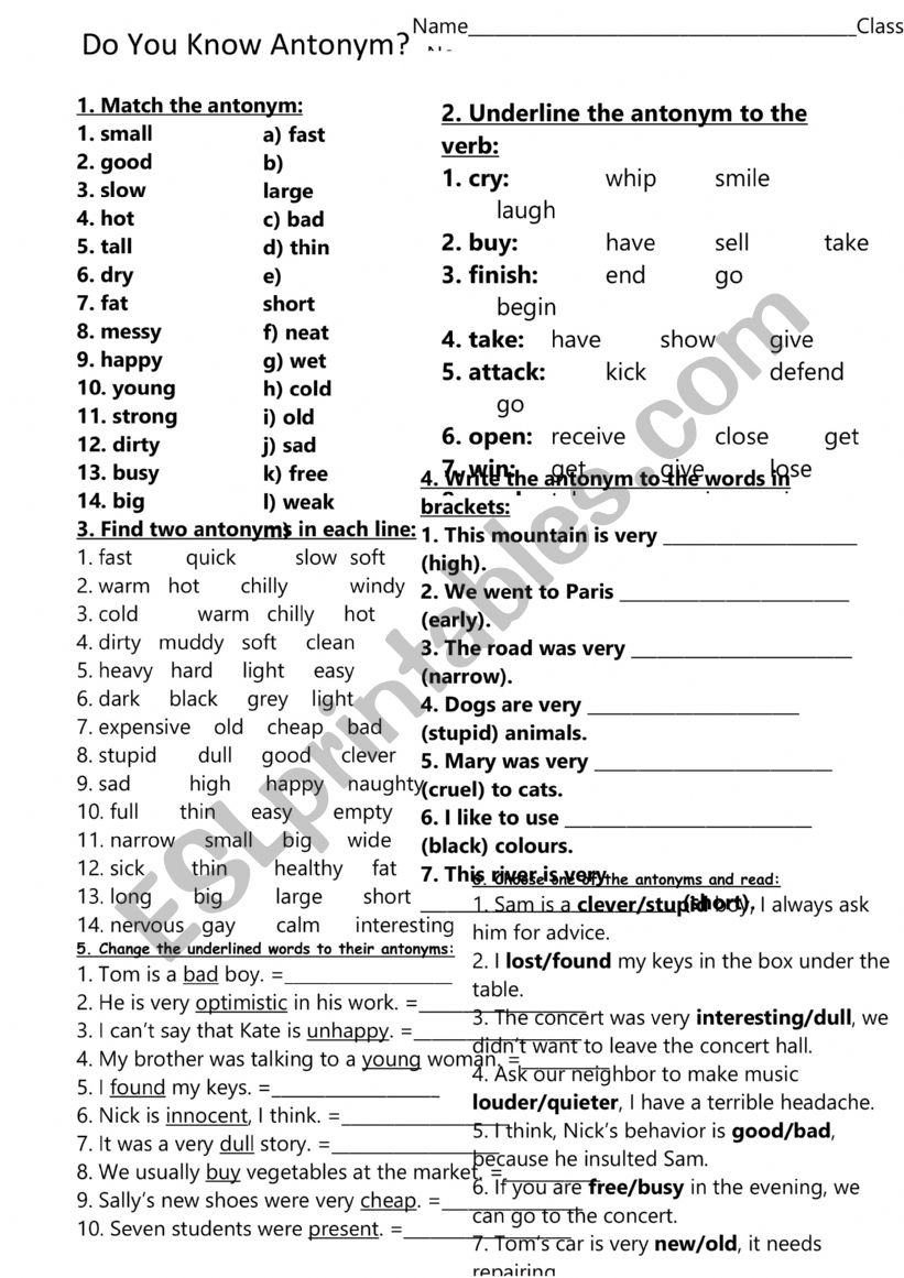 antonym worksheet