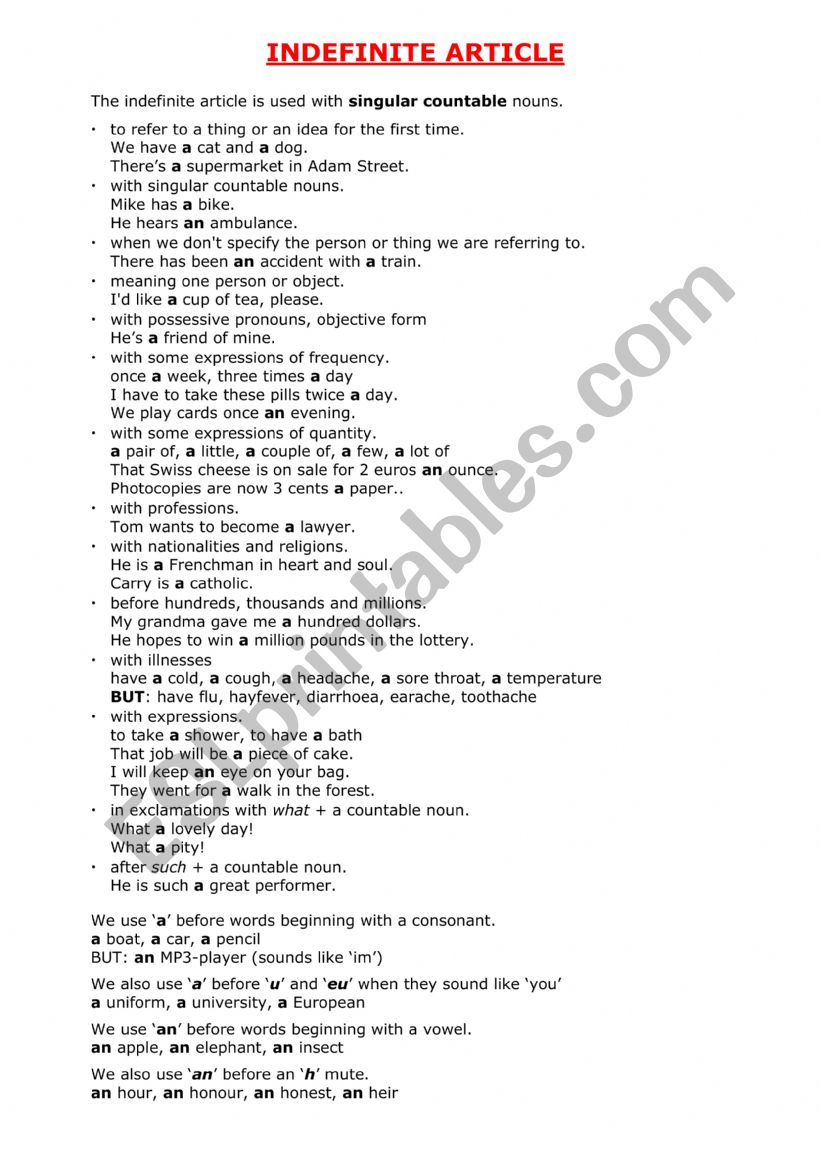 Indefinite Articles A-AN worksheet
