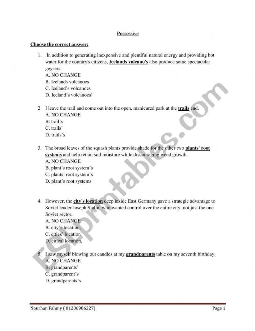 Possessive  worksheet