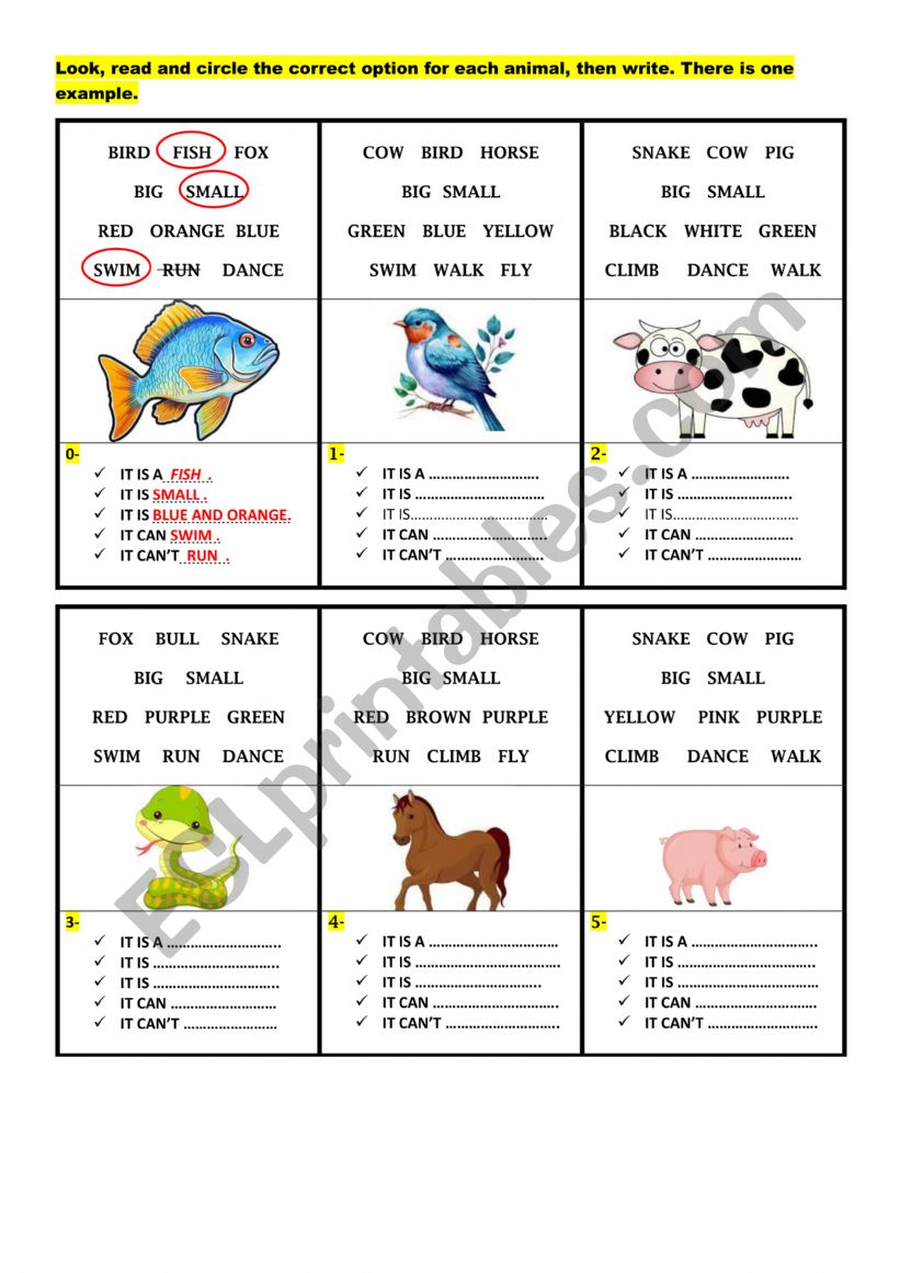 describing animals worksheet