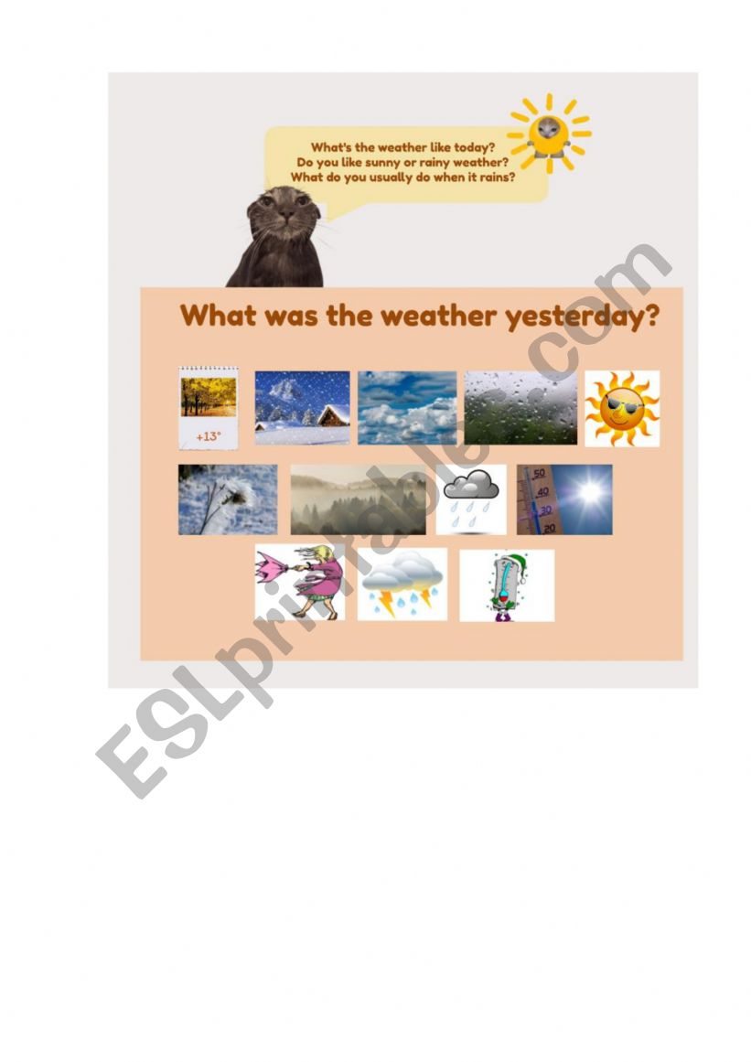 Weather / past continious worksheet