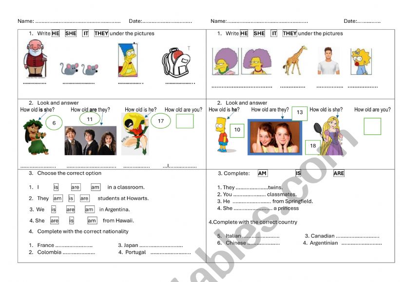 English test for starters worksheet