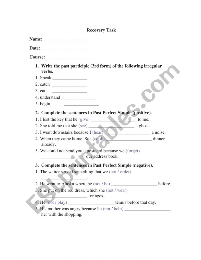 Past Perfect worksheet
