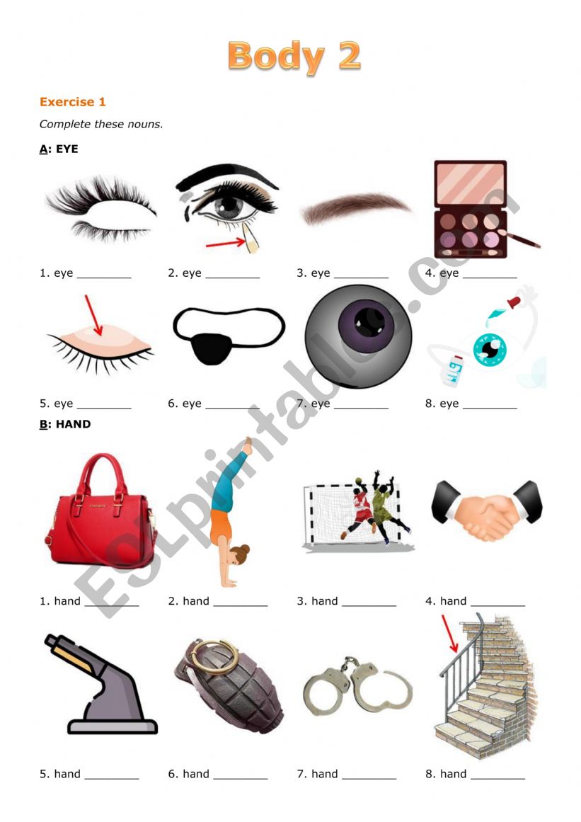 Body 2 worksheet